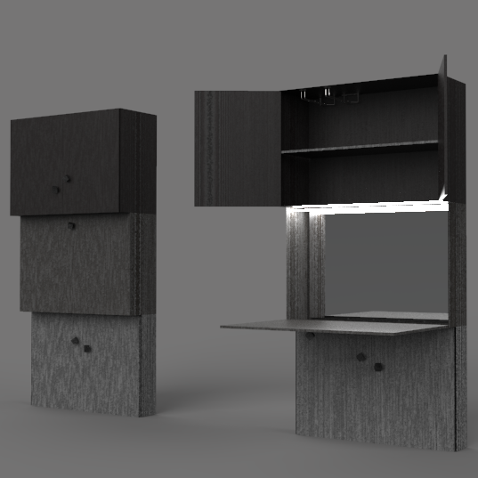 Step Bar (Wall Mounted)