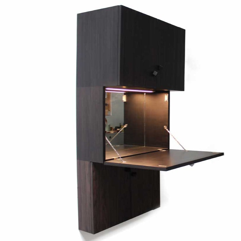 Step Bar (Wall Mounted)