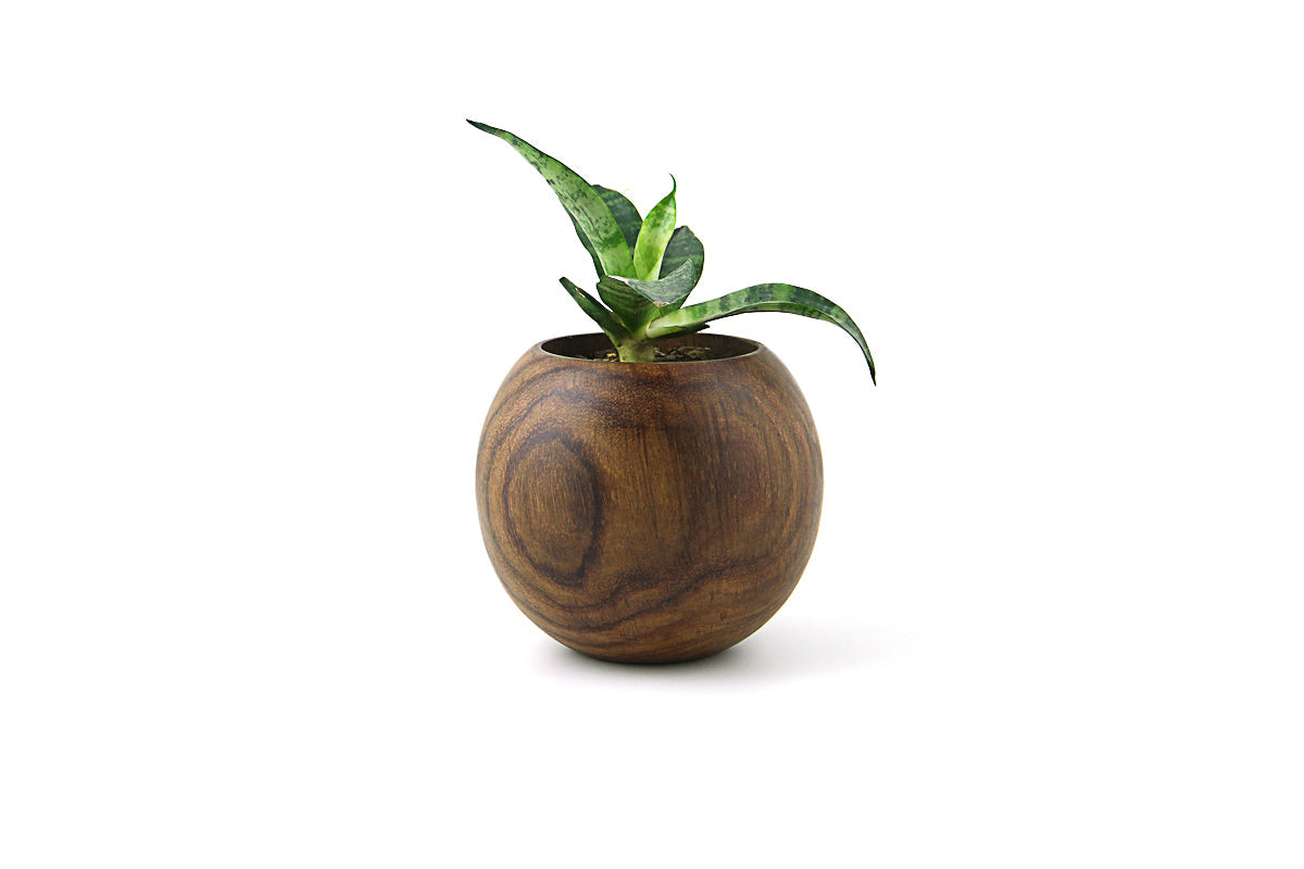 Ball Planter