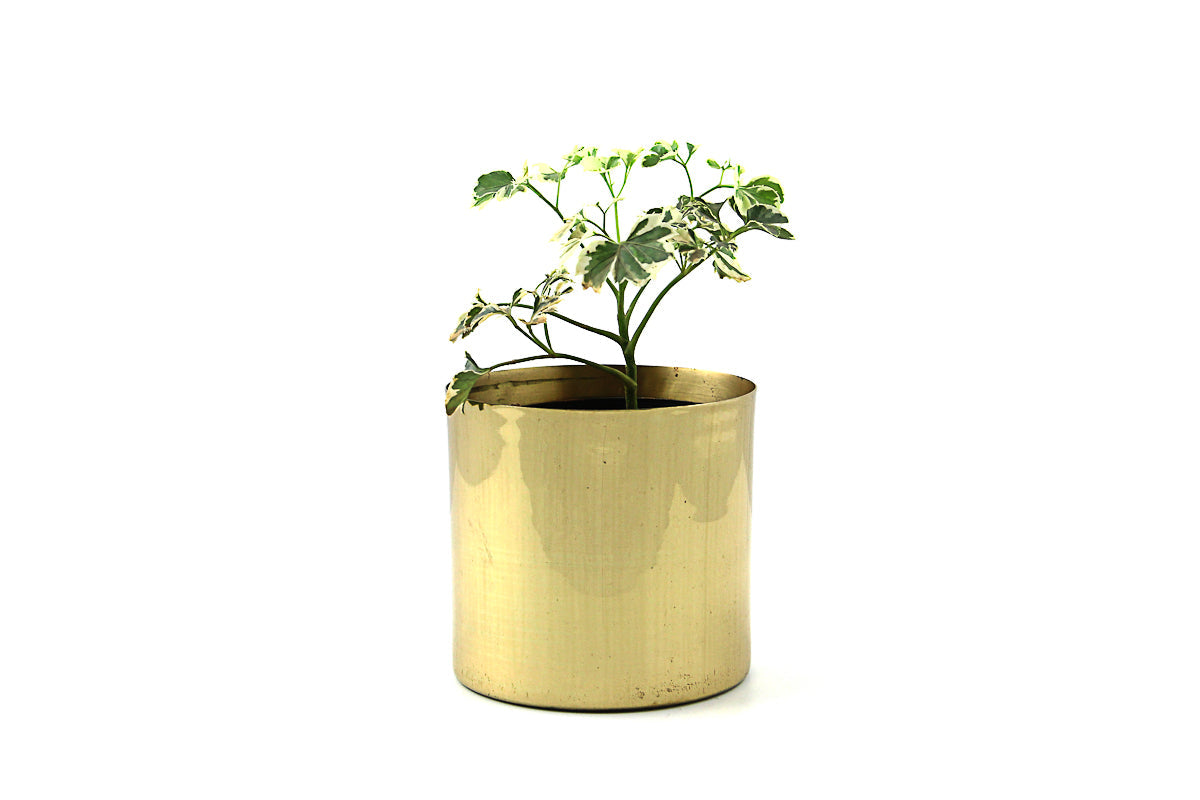 Trinity Classic Planters (Set of 3)