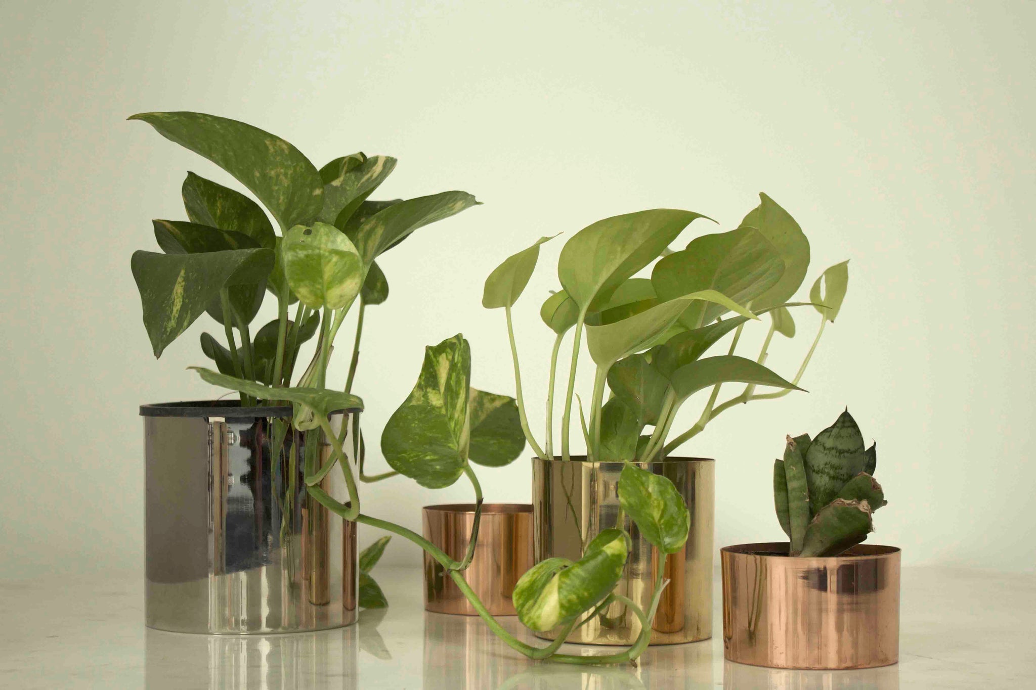 Trinity Classic Planters (Set of 3)