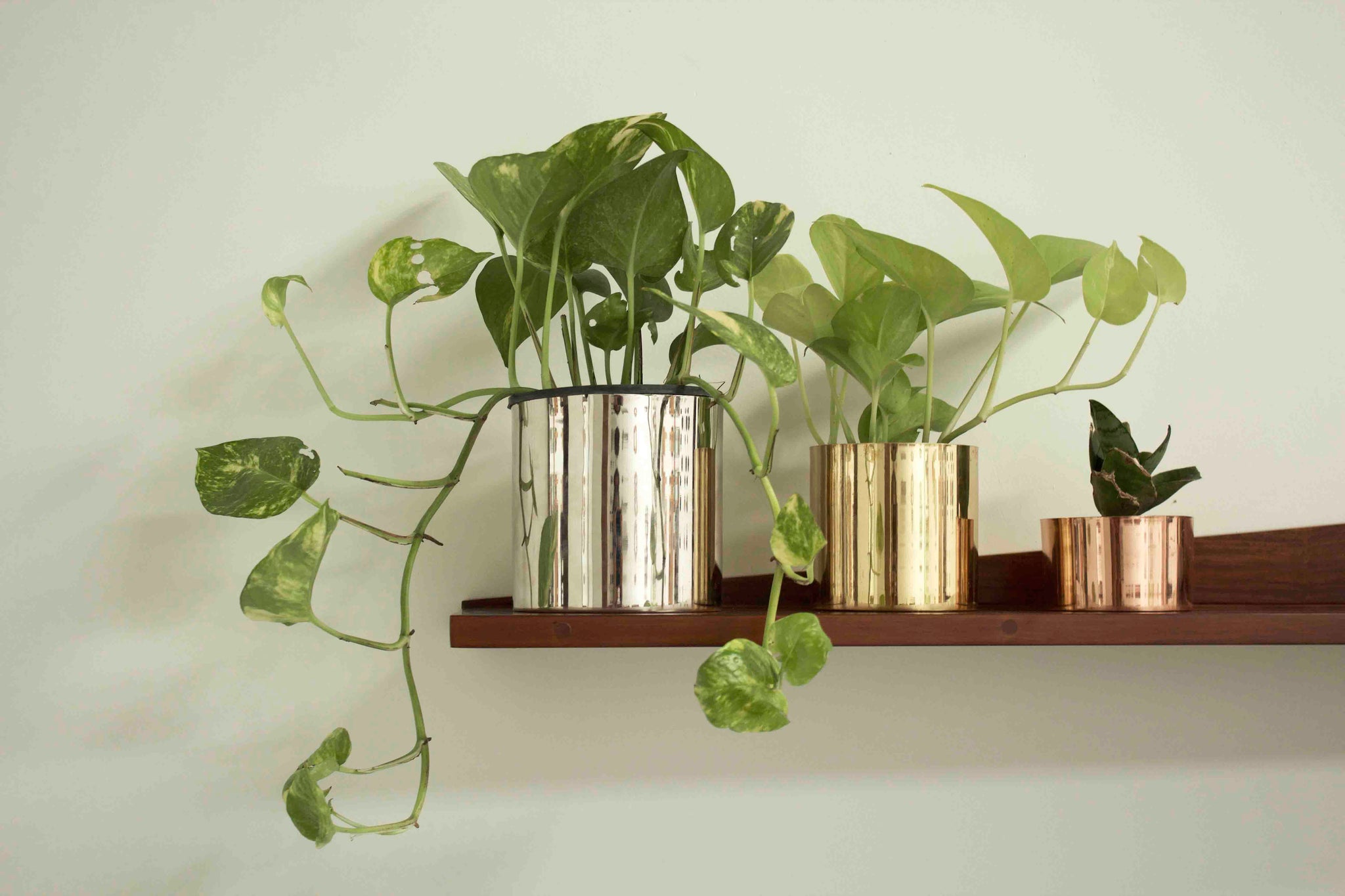 Trinity Classic Planters (Set of 3)