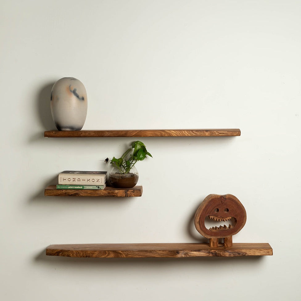 Organic Shelves - Set of 3