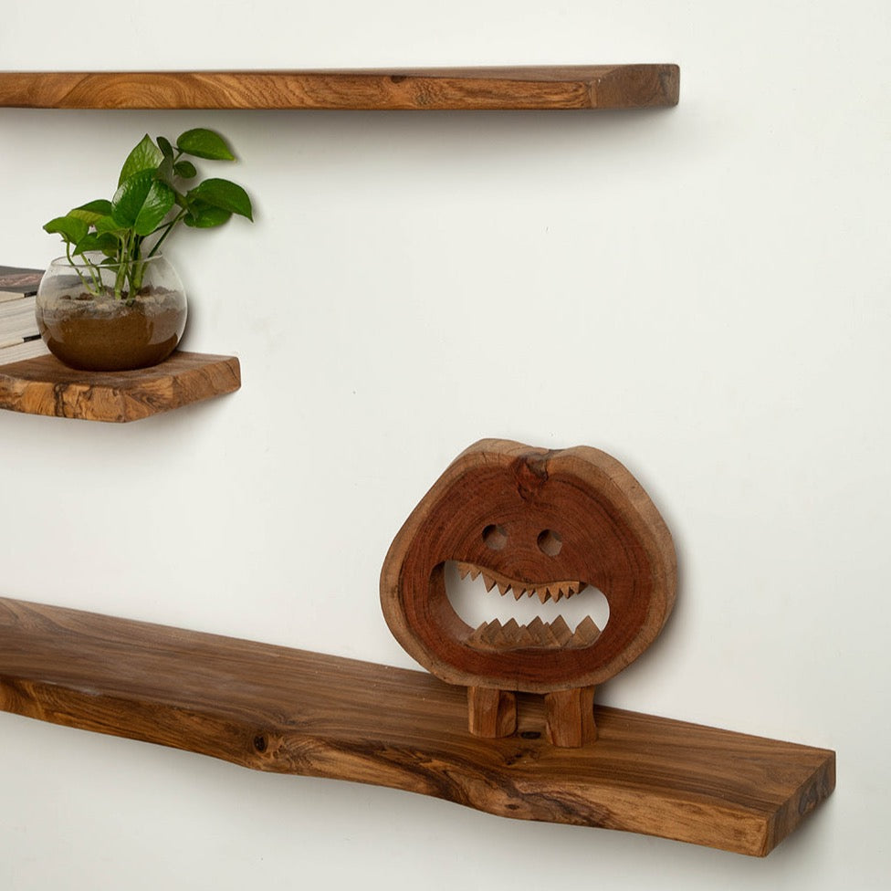 Organic Shelves - Set of 3