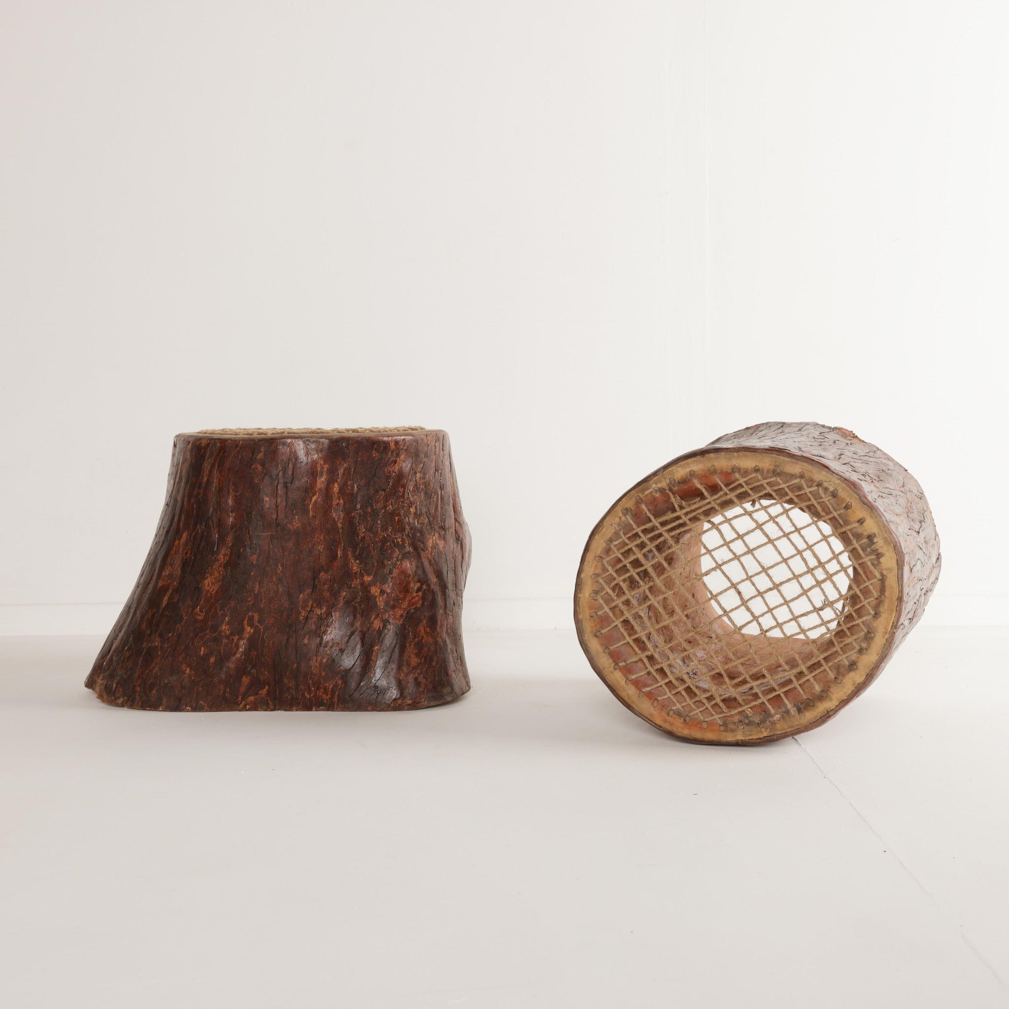 Organic Trunk - Set of 2