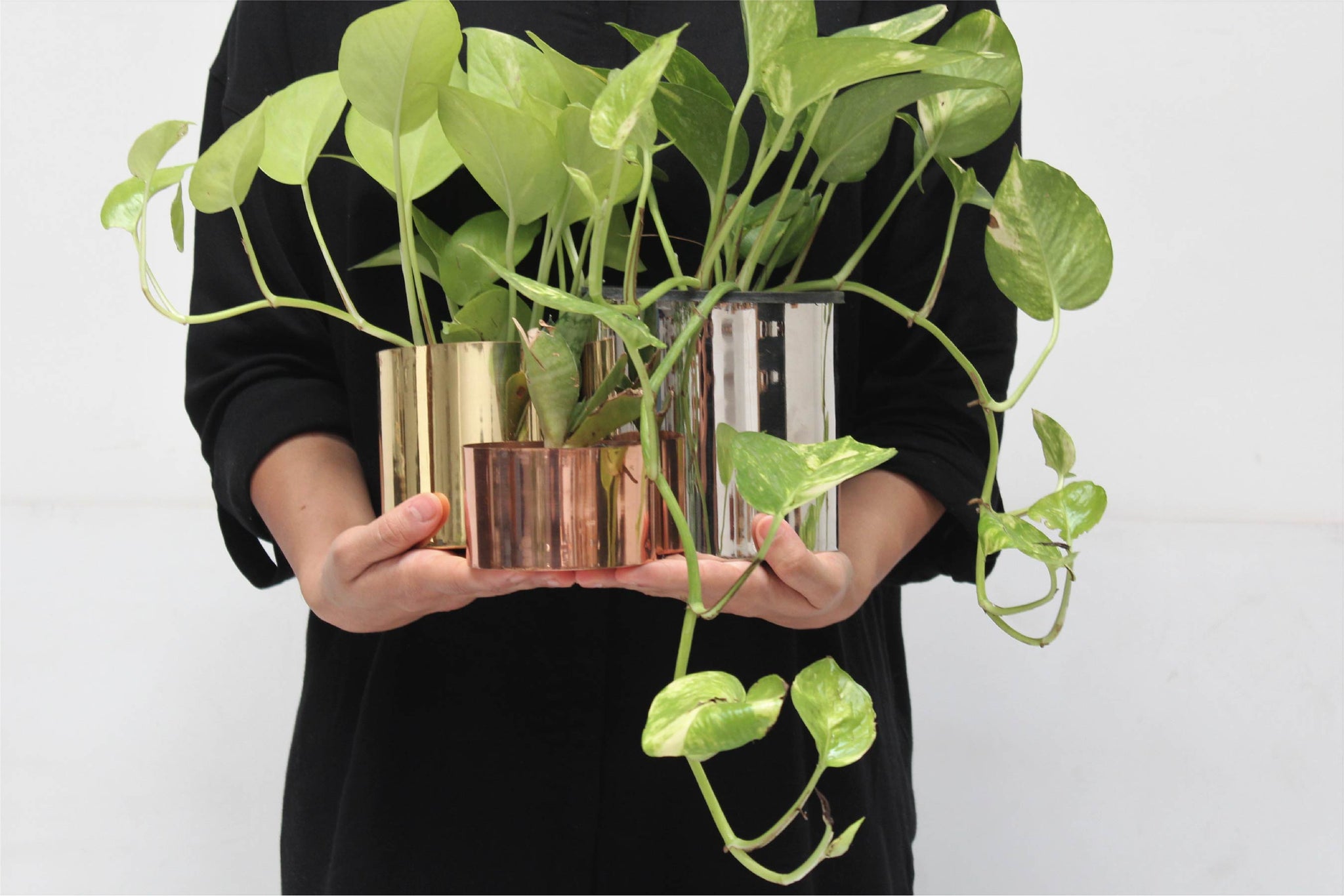 Trinity Classic Planters (Set of 3)