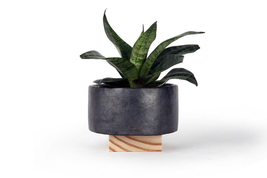 Square Planter
